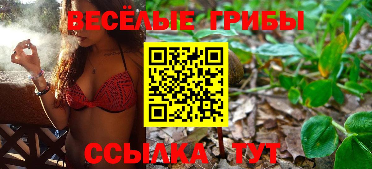 Галлюциногенные грибы мухоморы Ставрополь